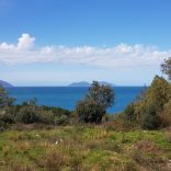 Land for sale in Vlora